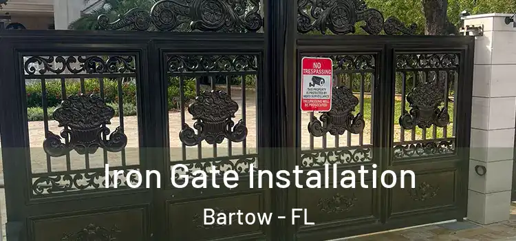Iron Gate Installation Bartow - FL