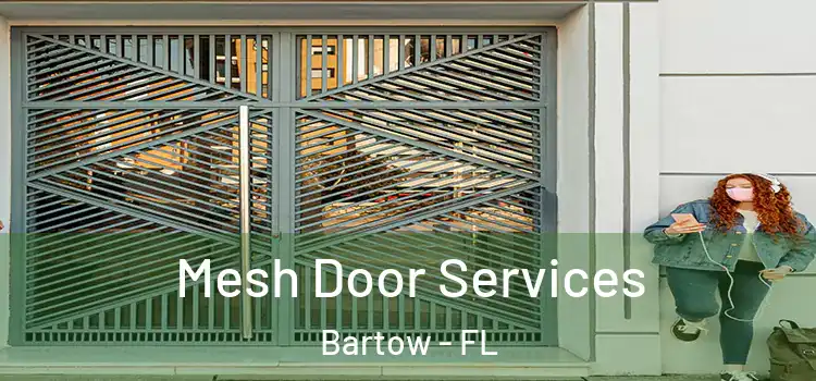 Mesh Door Services Bartow - FL