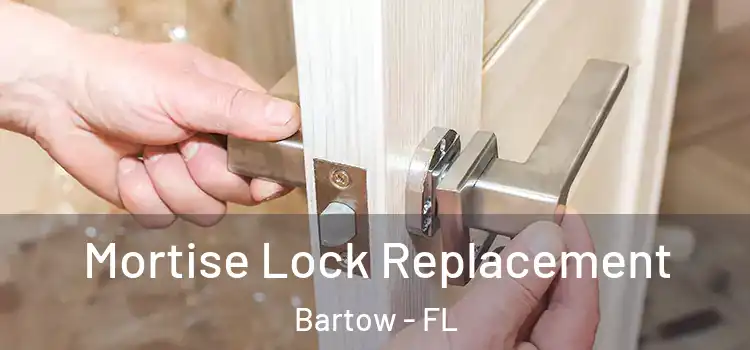  Mortise Lock Replacement Bartow - FL